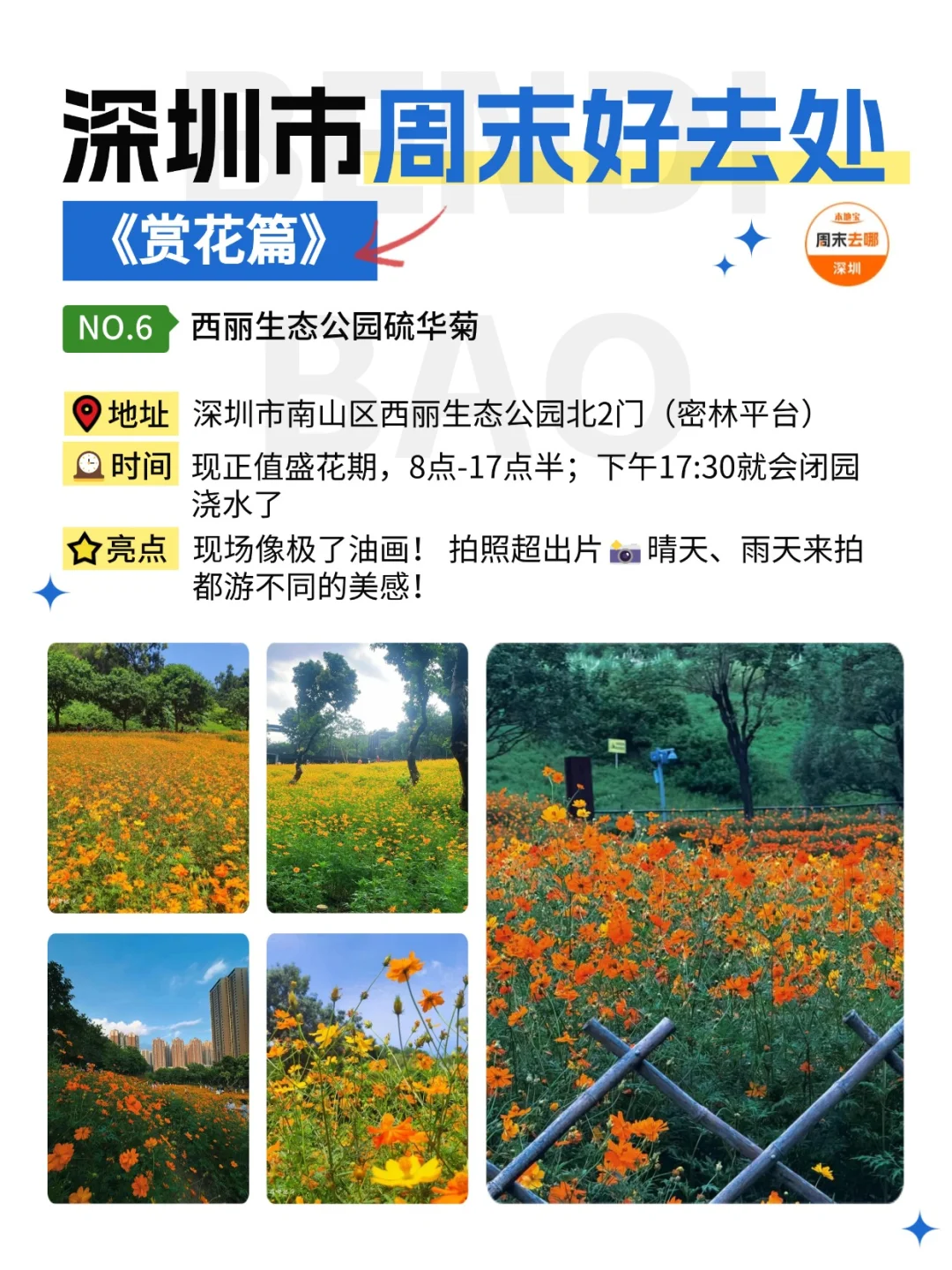 深圳这个周末能做的25件事‼️好多免费