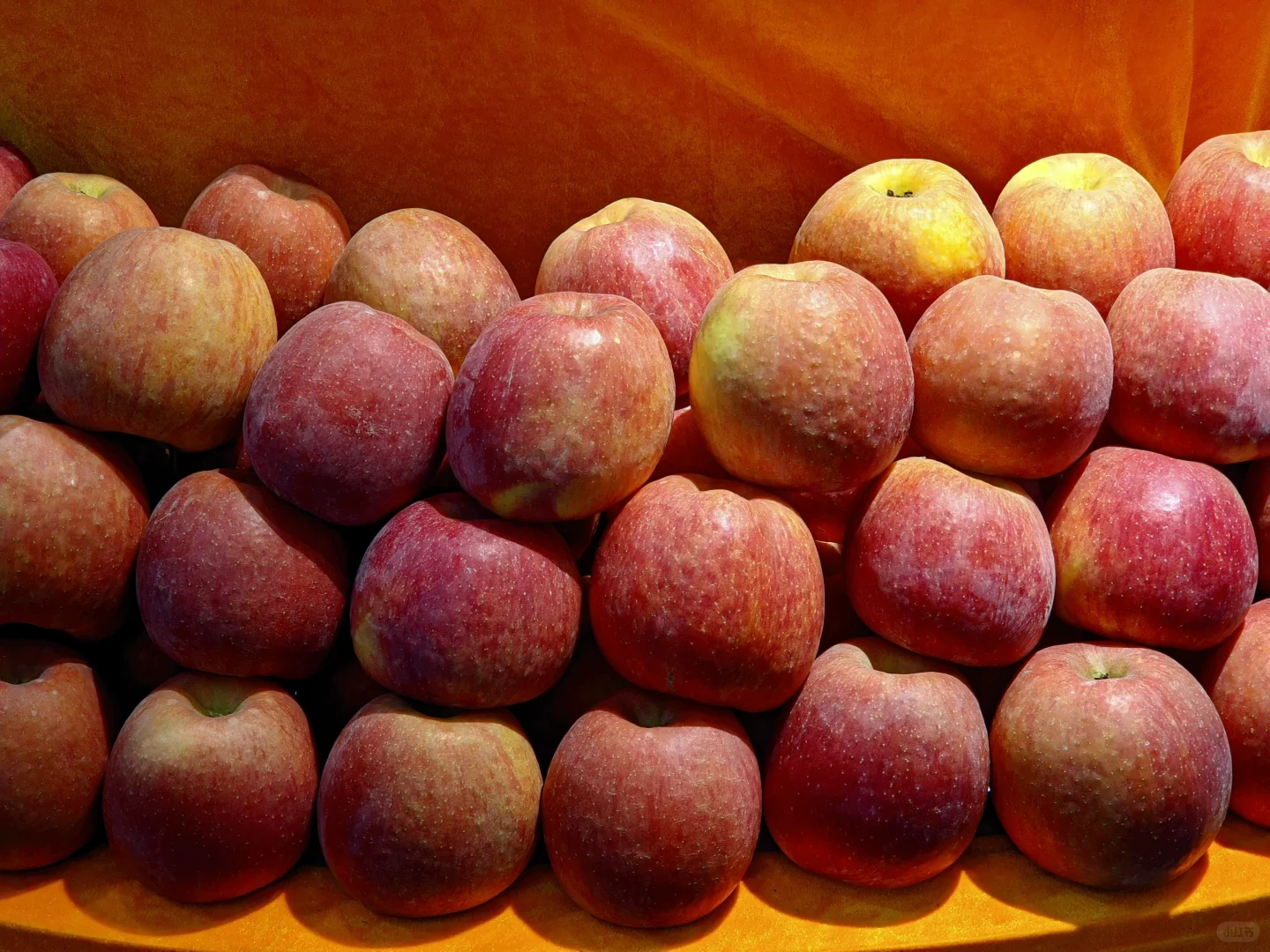 第11届阿克苏果品展销会