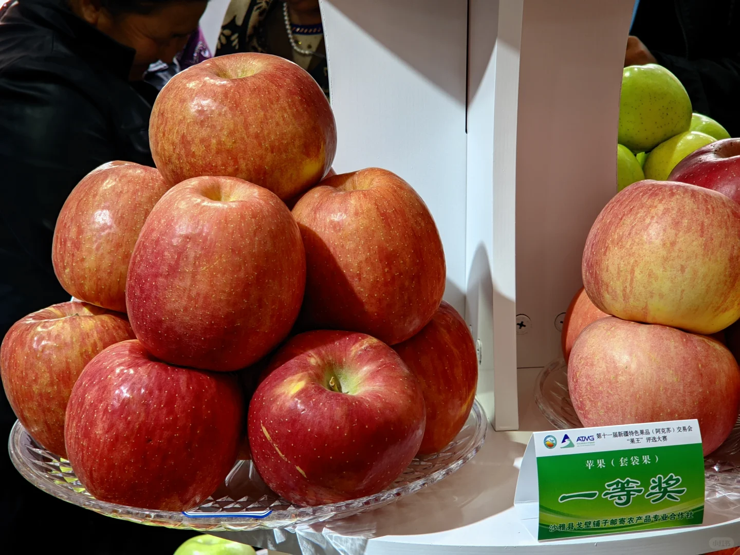 第11届阿克苏果品展销会