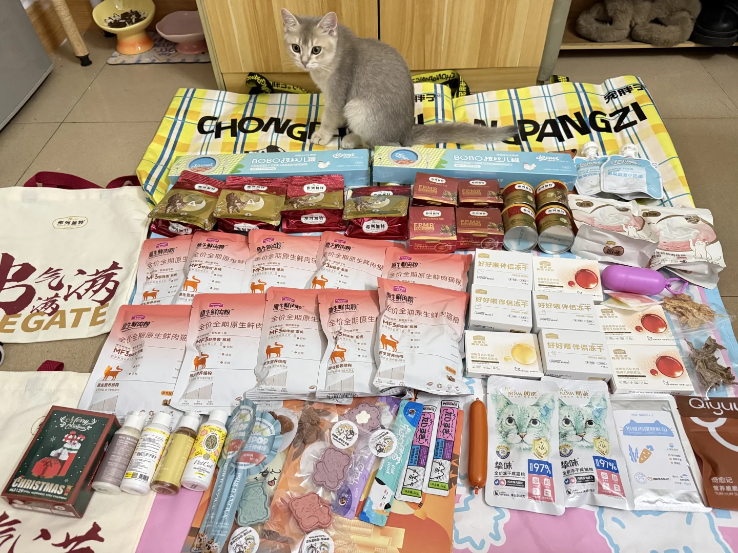 深圳宠物展最新战况?