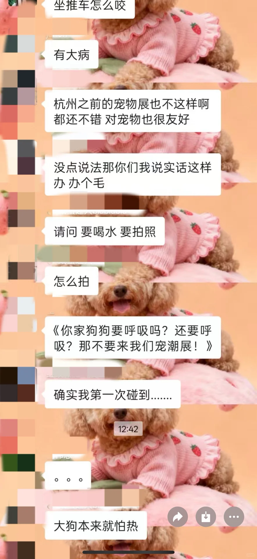 宠潮会宠物展会却宠物不友好?