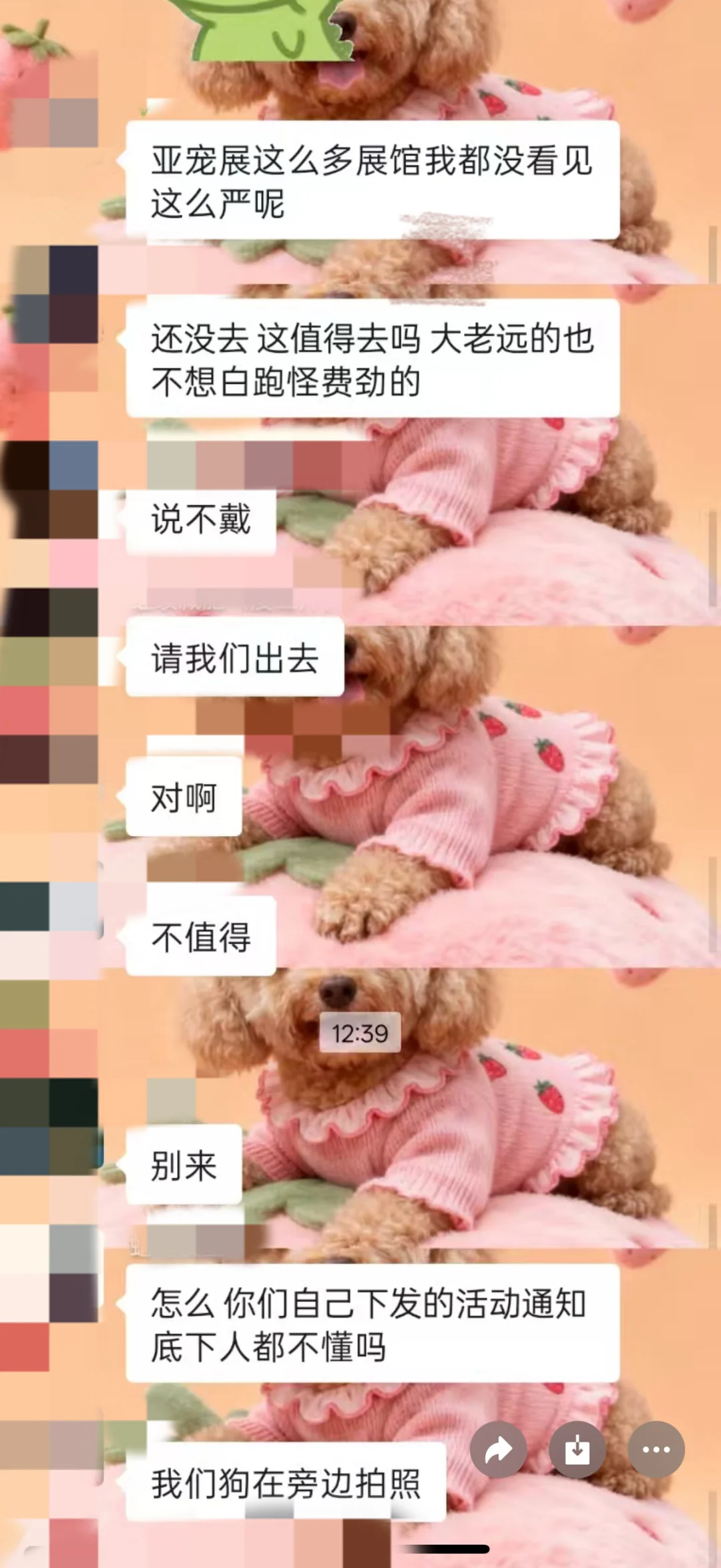 宠潮会宠物展会却宠物不友好?