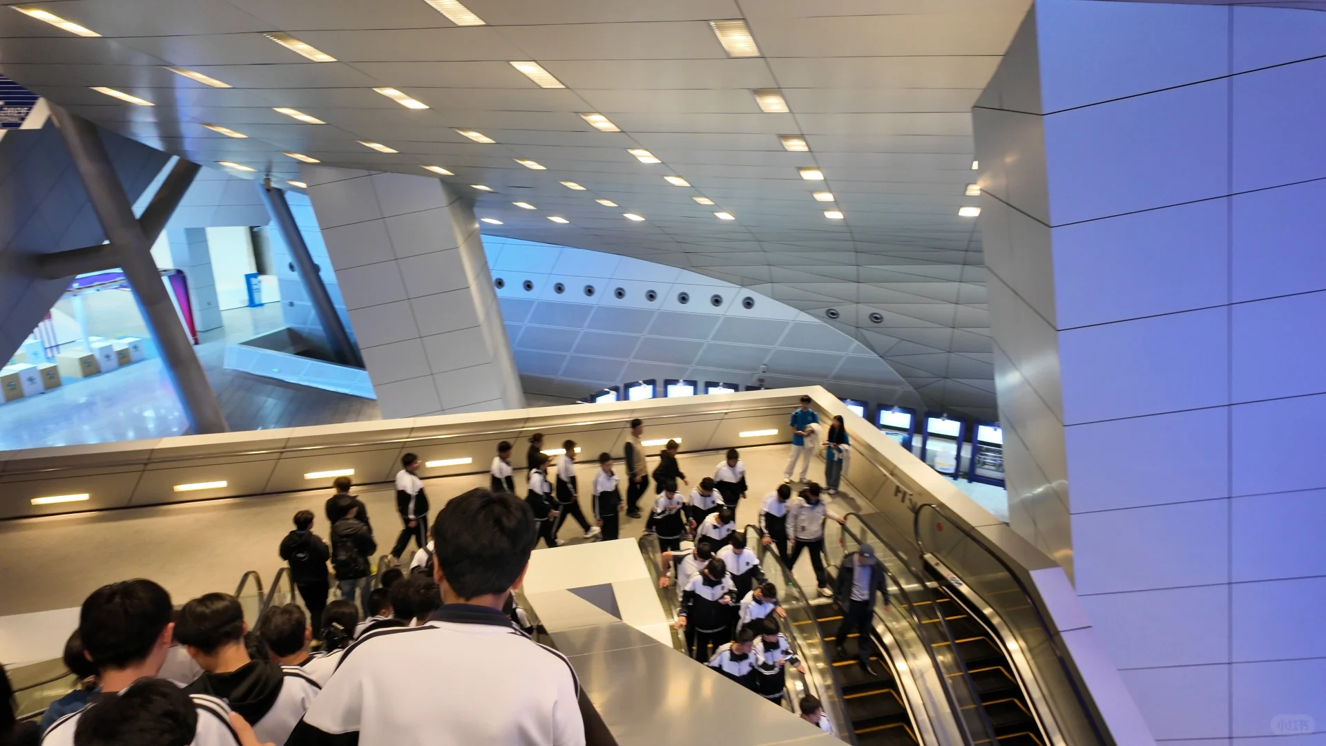 律师日常︱助力国际专交会