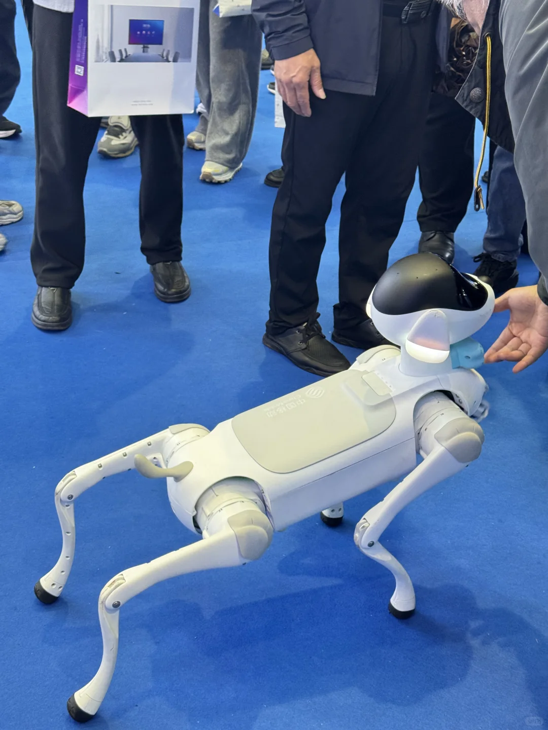 今天去参加数字博览会的出列