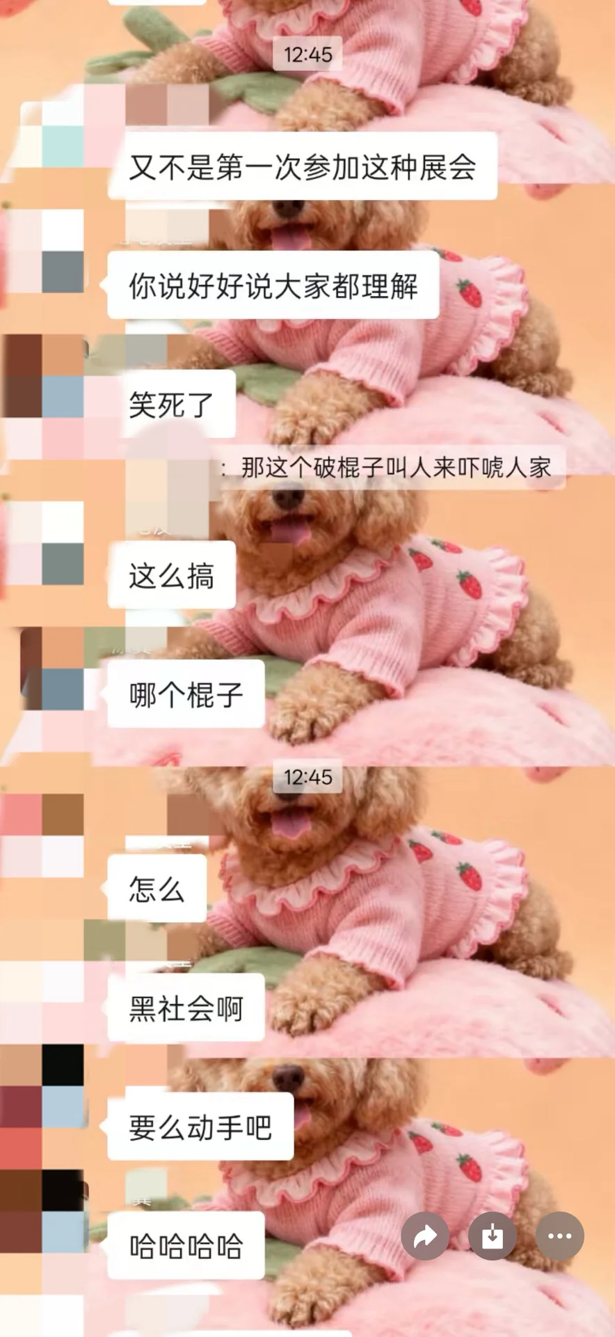 宠潮会宠物展会却宠物不友好?