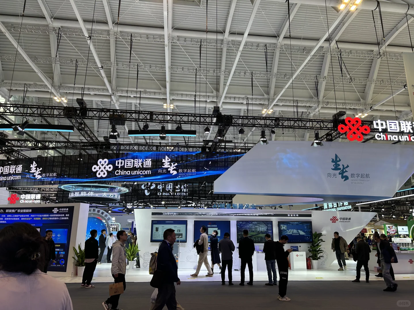 在国际农产品交易会现场—2（17-19日）