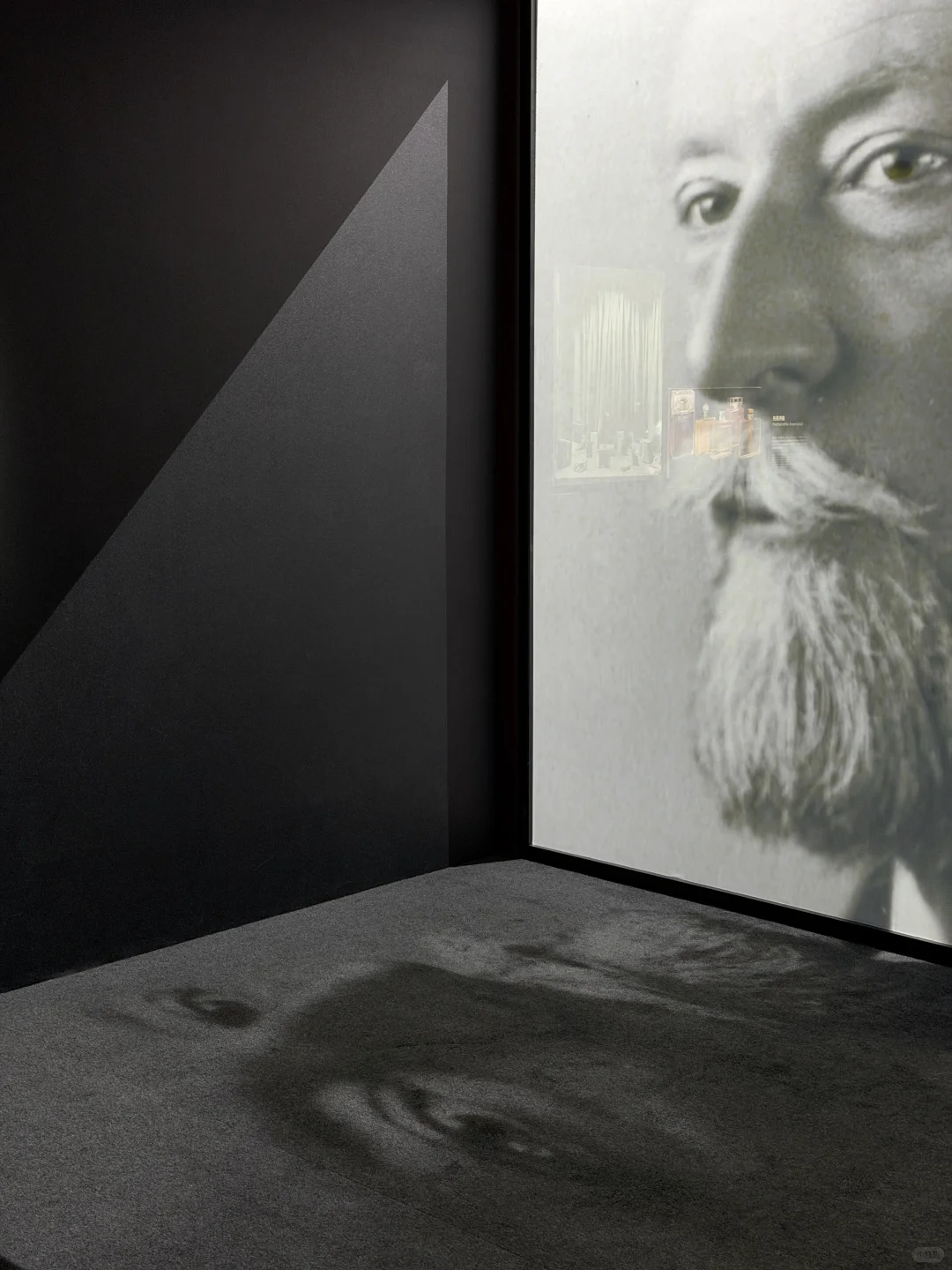 上海新展|一场永不停站的旅程?️