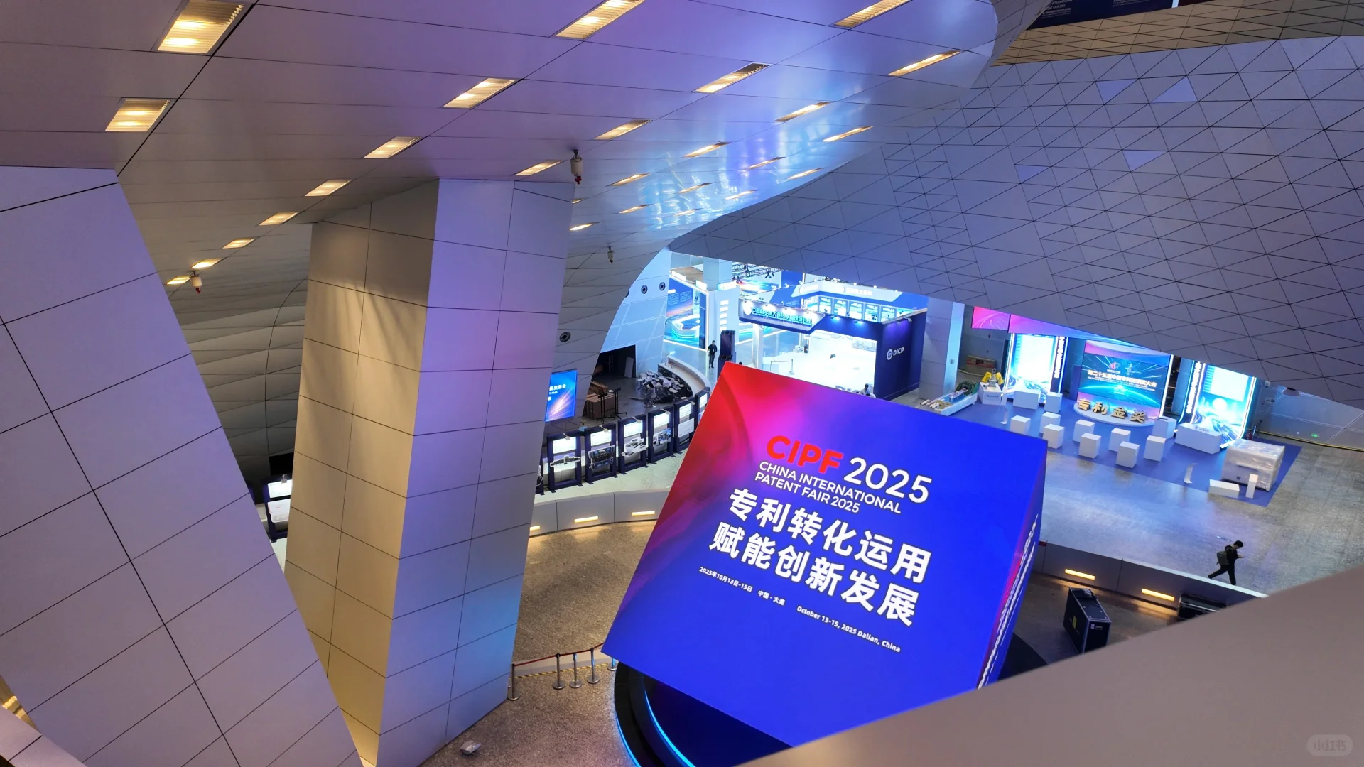 律师日常︱助力国际专交会