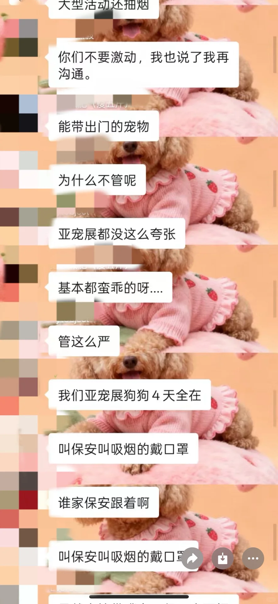 宠潮会宠物展会却宠物不友好?