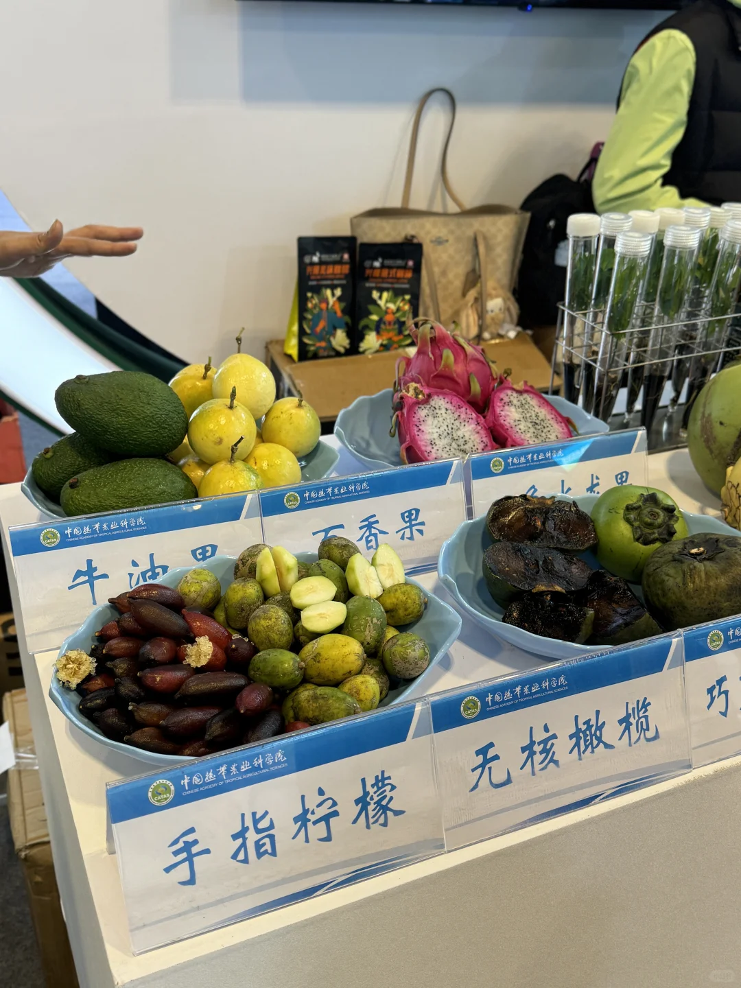 天津 | 国际农产品交易会