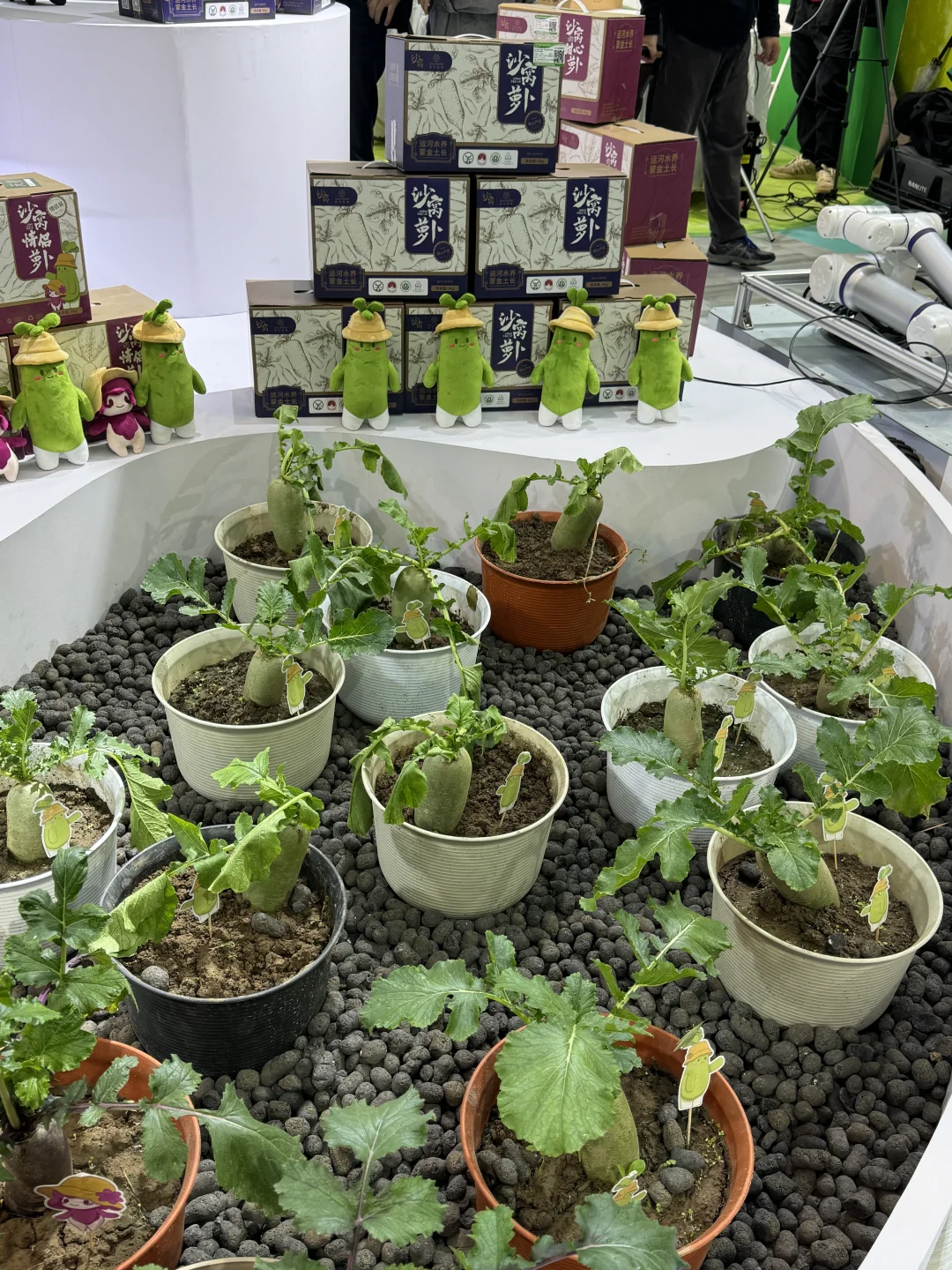 天津 | 国际农产品交易会