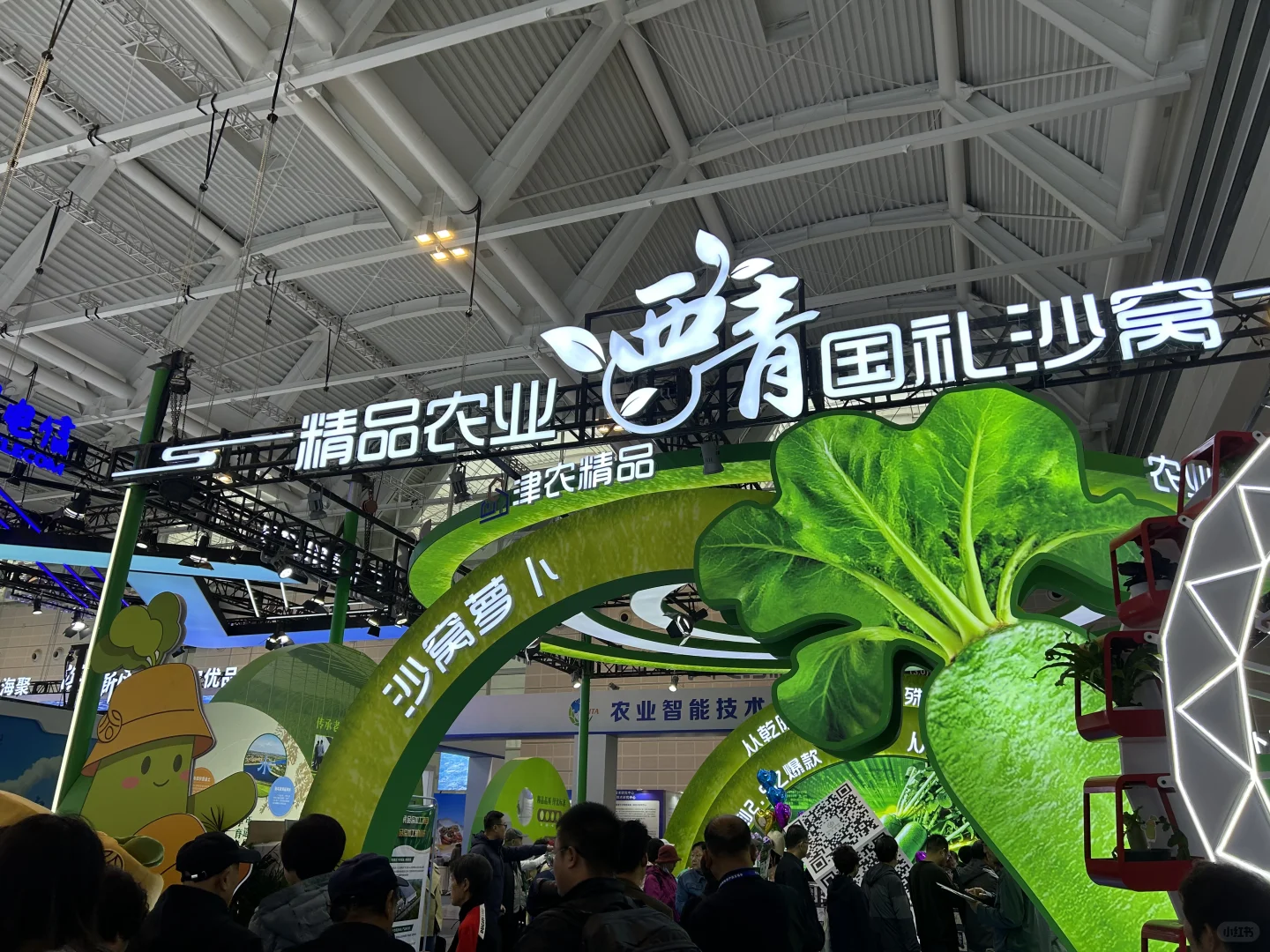 在国际农产品交易会现场—1（17–19日）