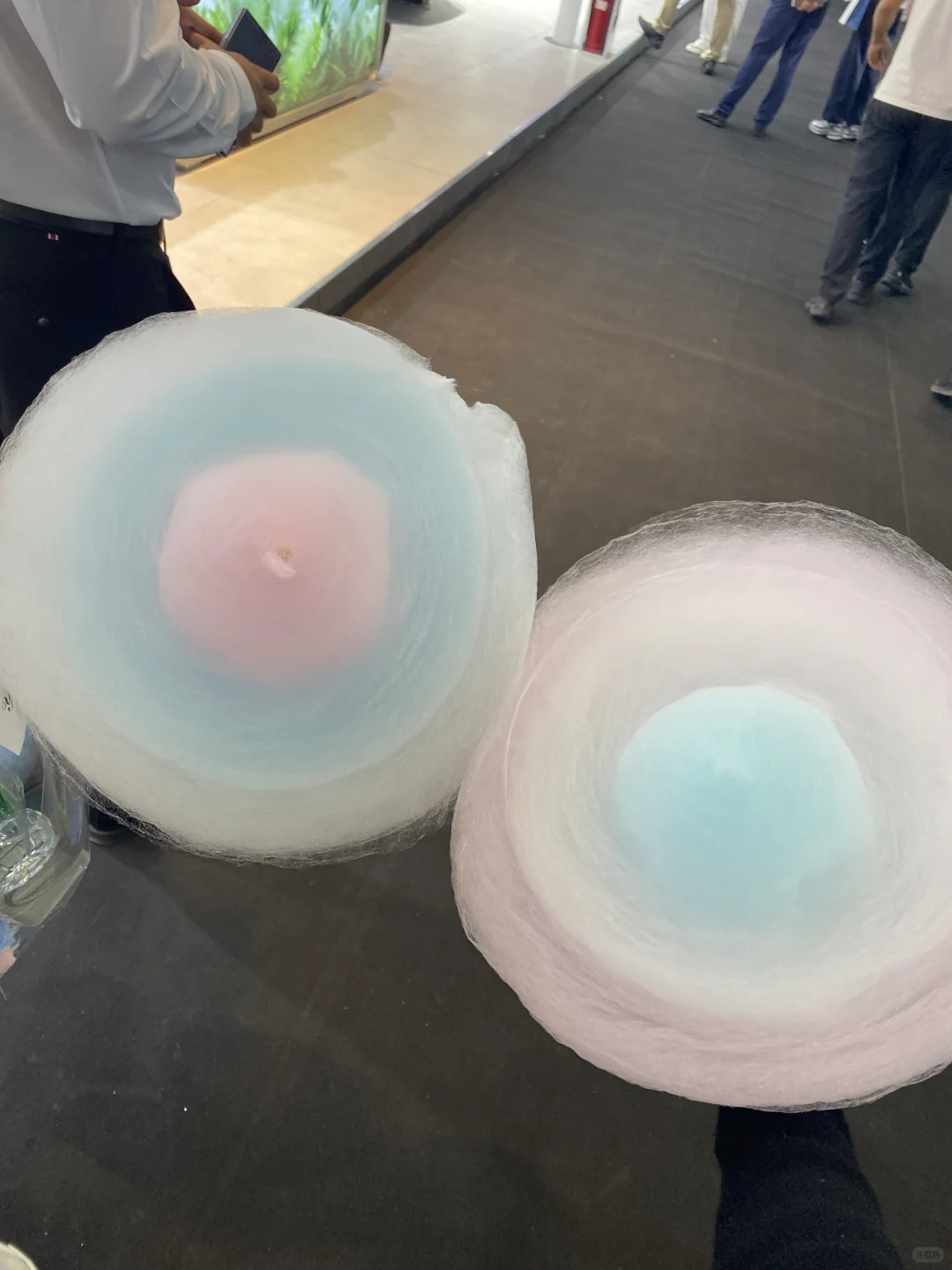 石家庄车展，是捅了自助餐窝了吗