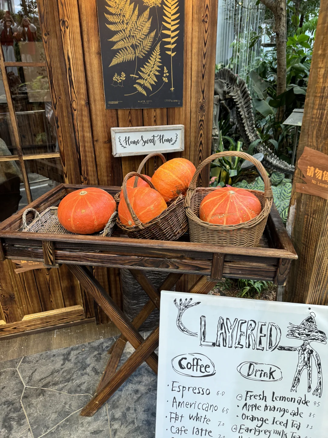 重庆！新开的！南瓜展！！5G万圣节氛围感✨?