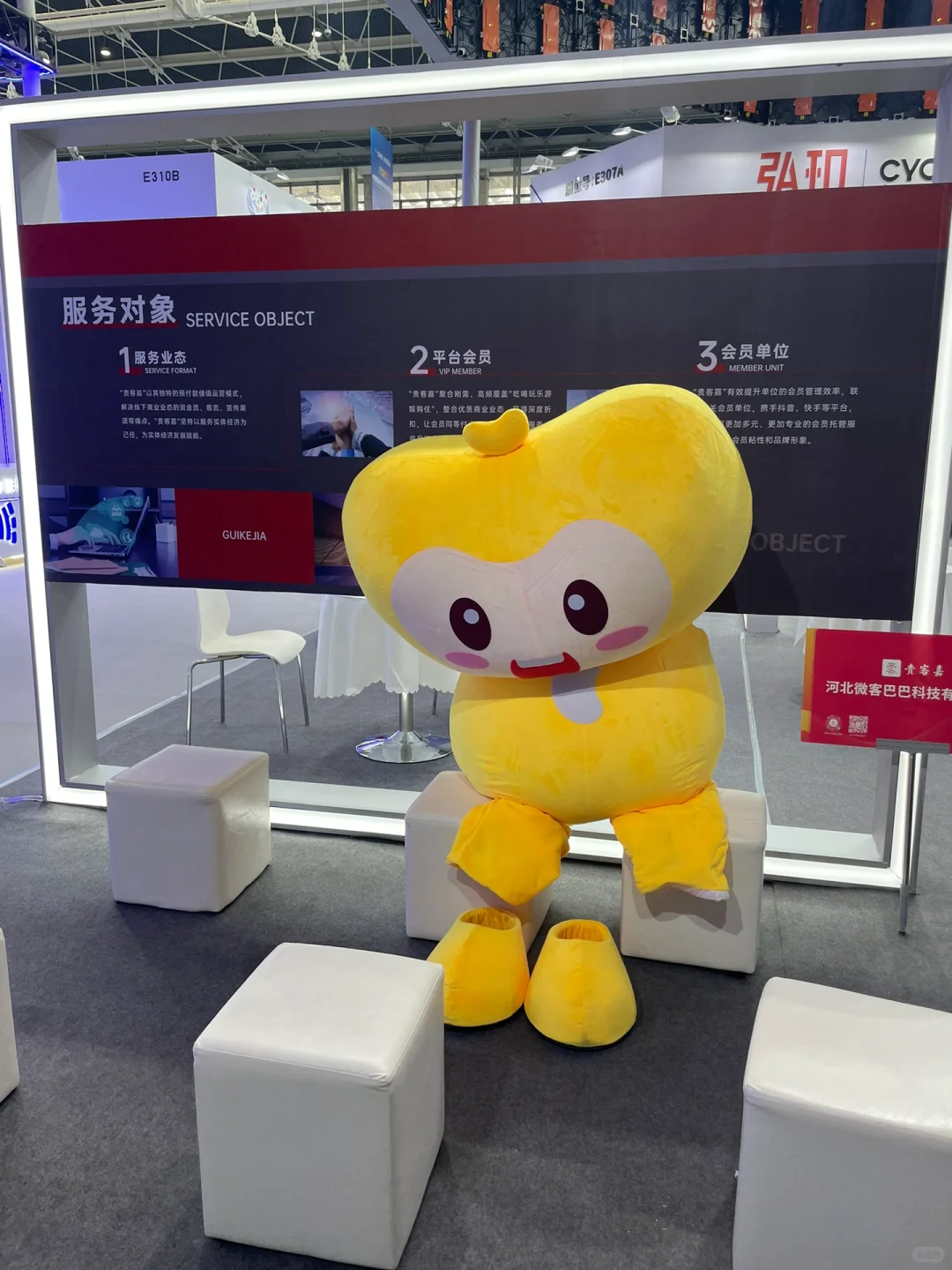 数博会在国际庄?