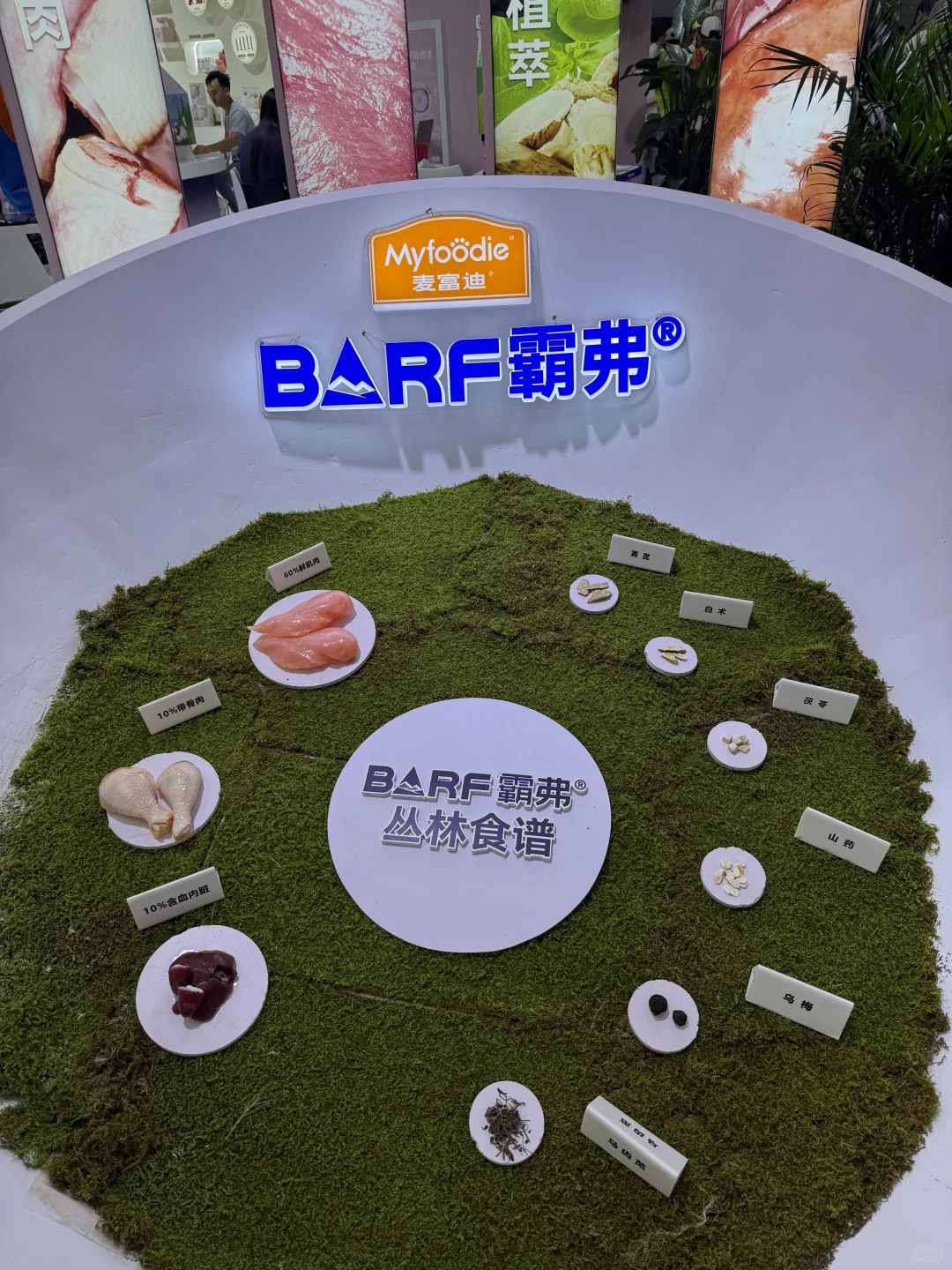 深圳宠物展来咯