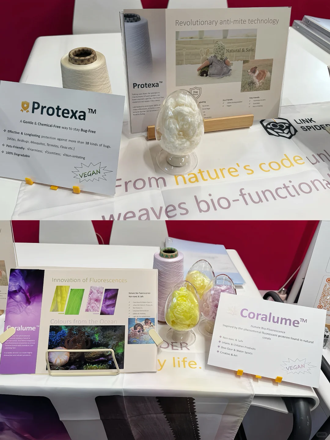 灵蛛科技亮相巴黎PV展?