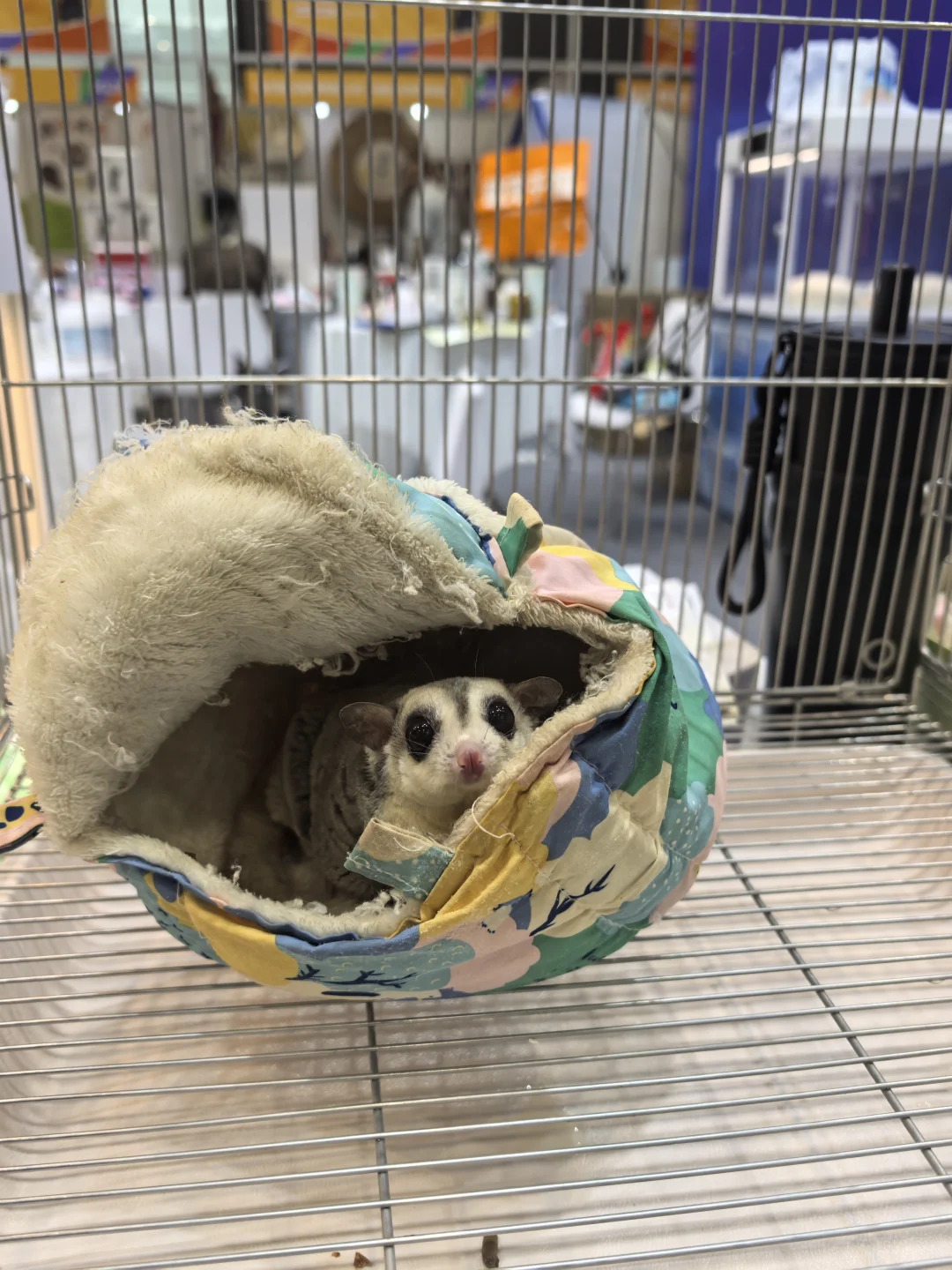 杭州会展的游客路线规划很吐槽