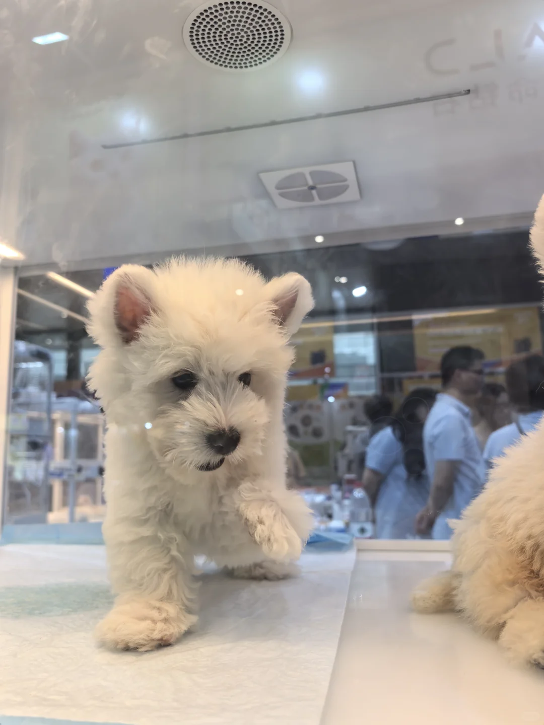 杭州会展的游客路线规划很吐槽