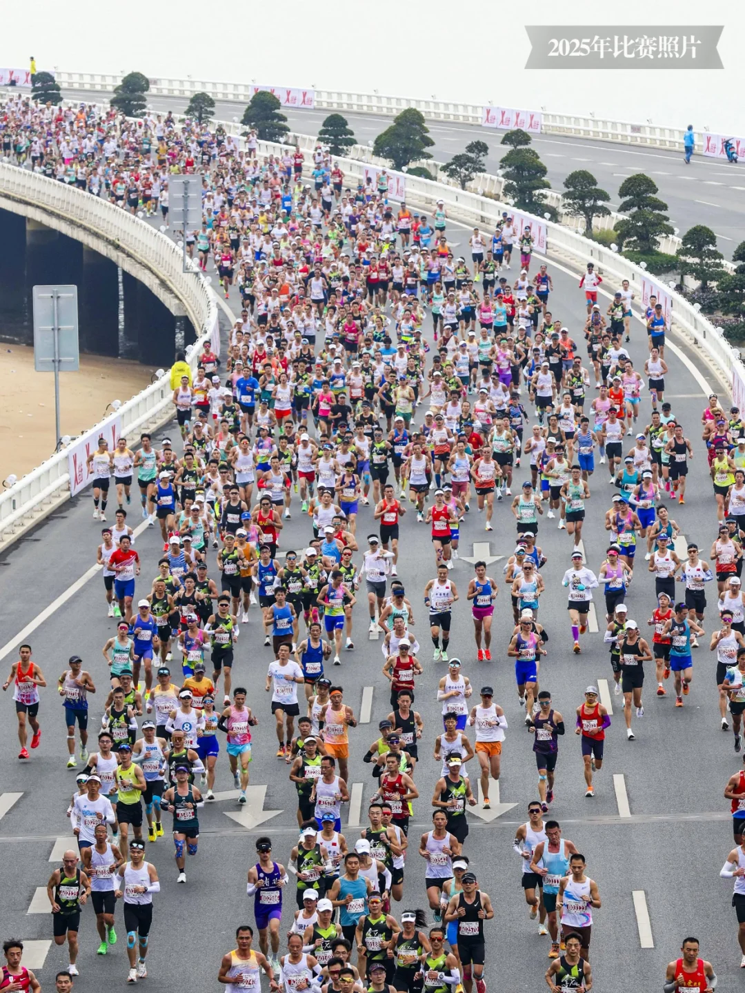 2026厦门马拉松报名指南|划重点版
