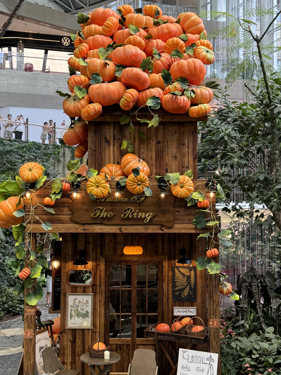 重庆！新开的！南瓜展！！5G万圣节氛围感✨?