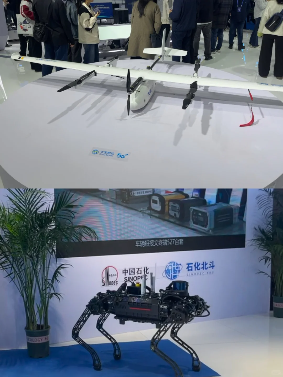 我来看数字经济博览会啦