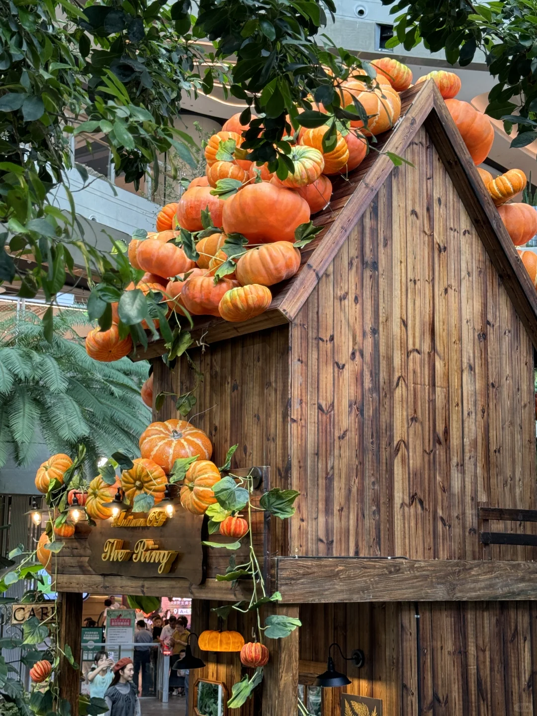 重庆！新开的！南瓜展！！5G万圣节氛围感✨?