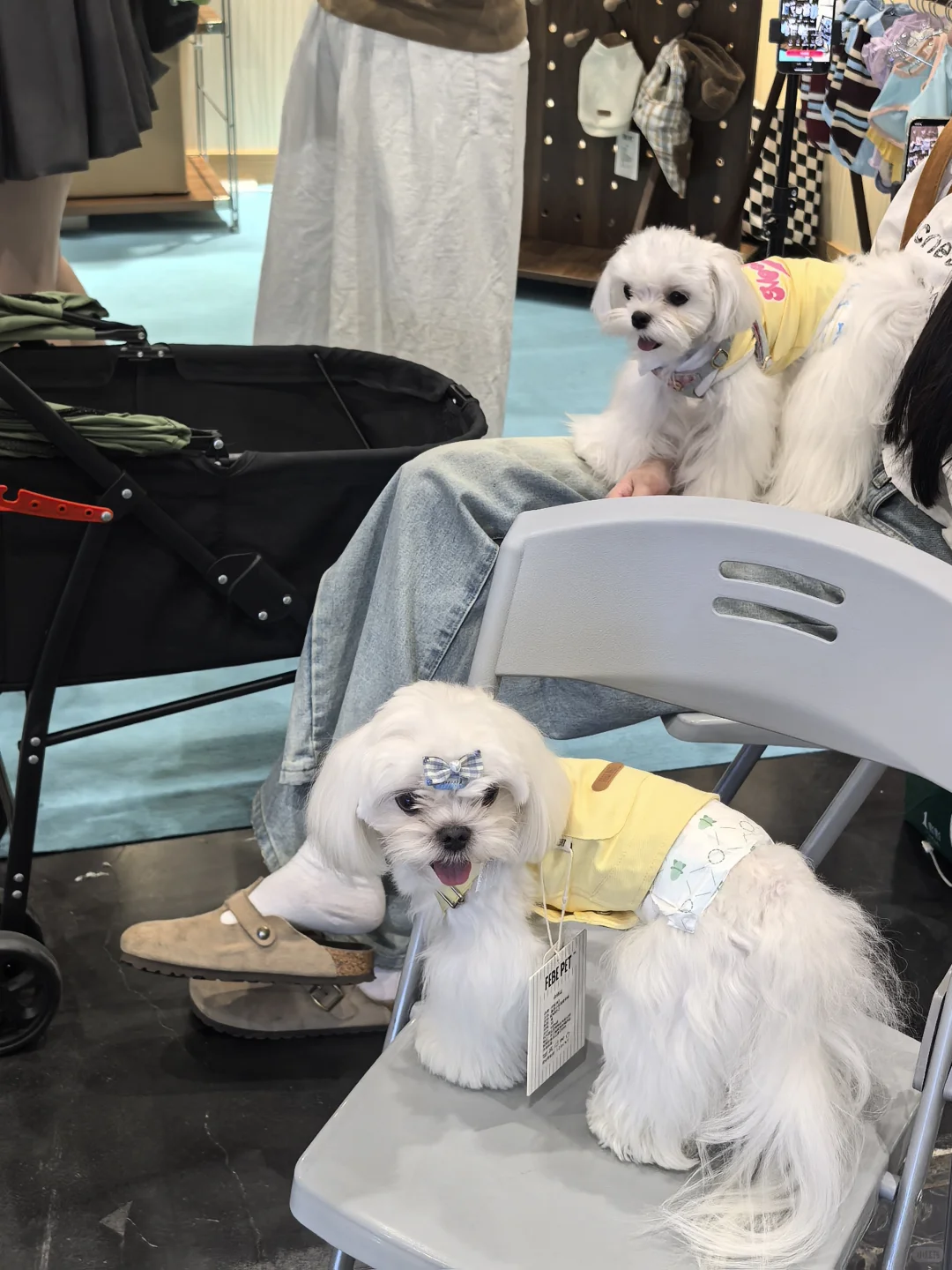 杭州会展的游客路线规划很吐槽