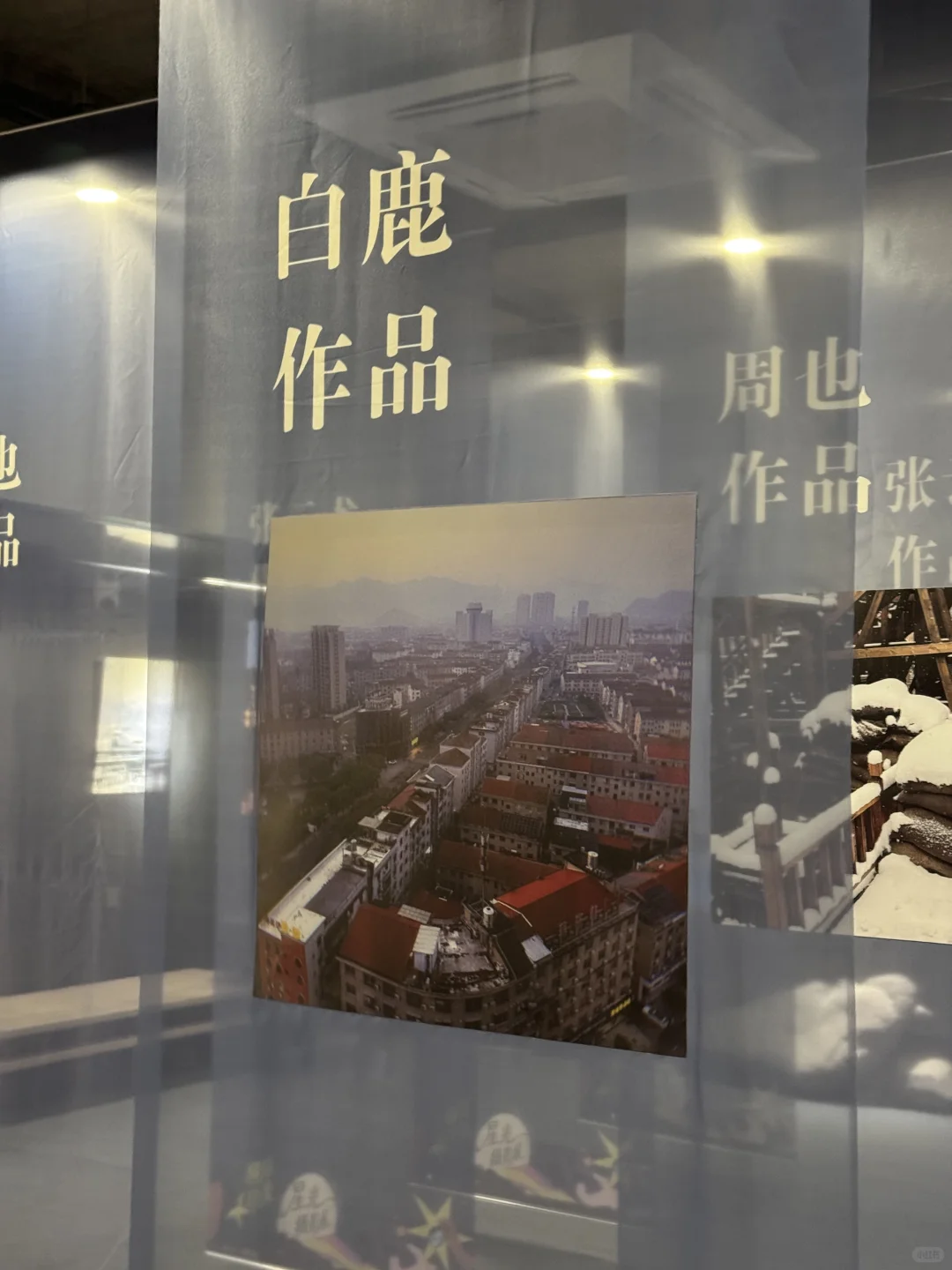 白鹿的摄影作品 正在横店展出!