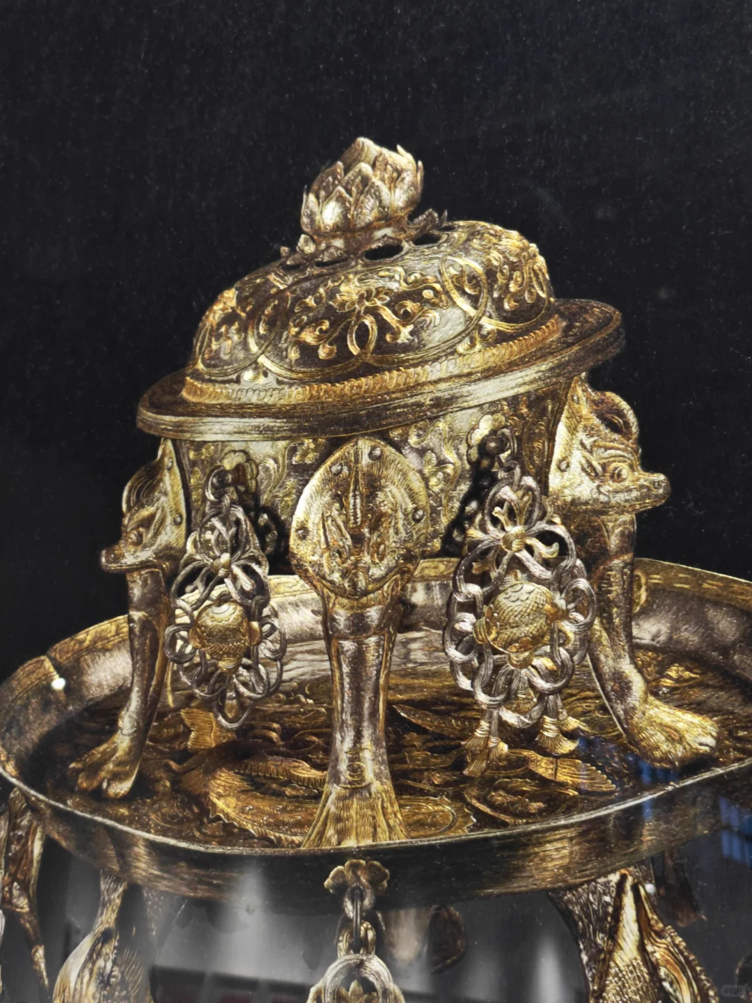 永康会展中心｜山花烂漫时