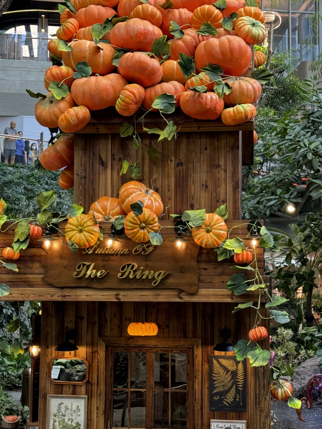 重庆！新开的！南瓜展！！5G万圣节氛围感✨?