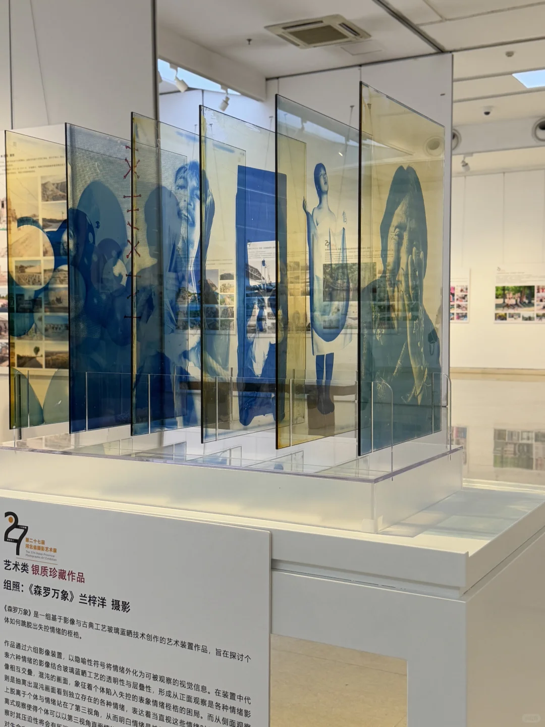 速冲!免费看石家庄省级摄影大展!错过等一年