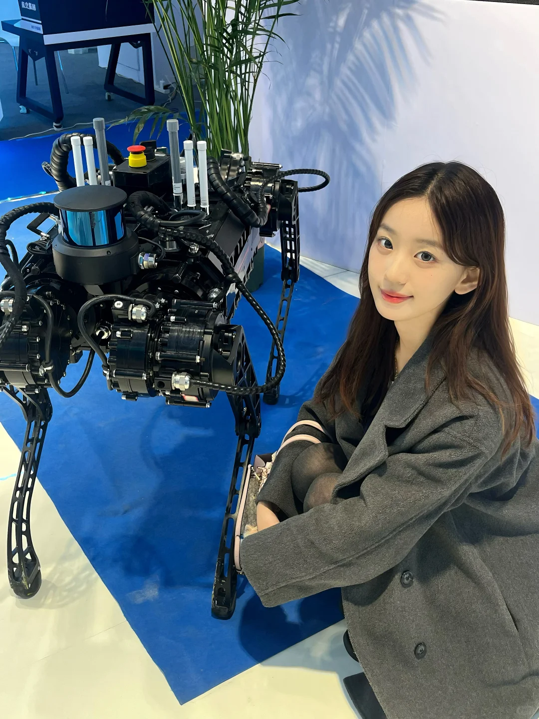 我来看数字经济博览会啦