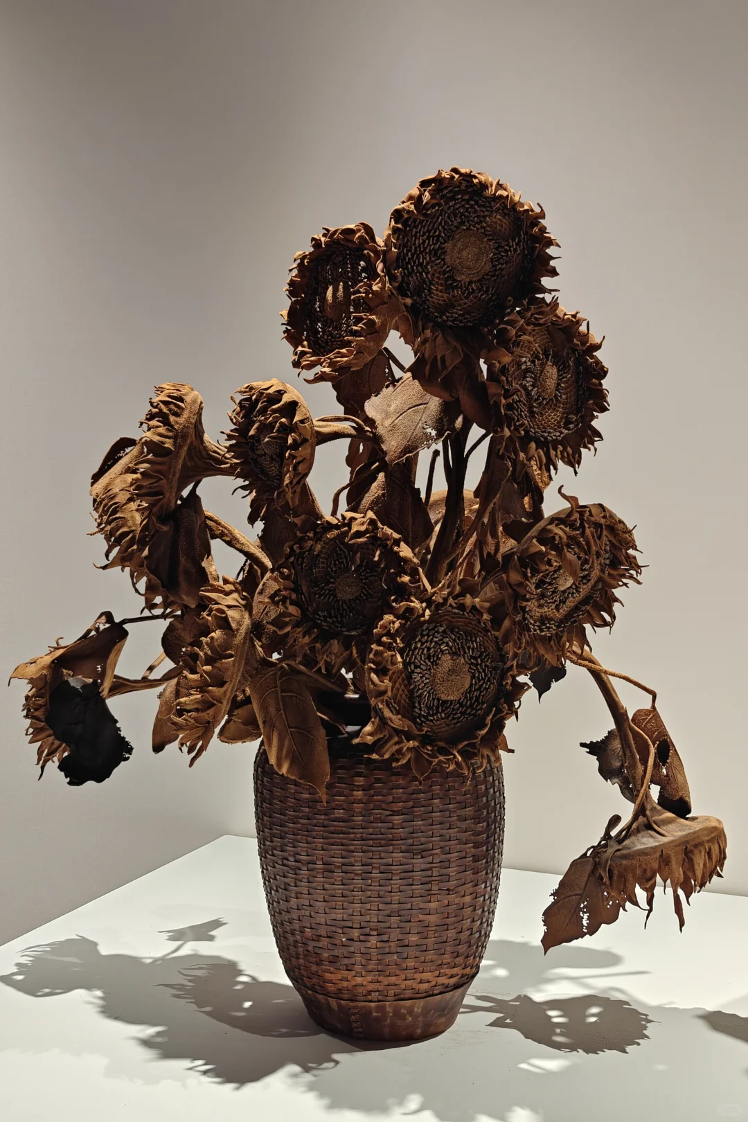 永康会展中心｜山花烂漫时