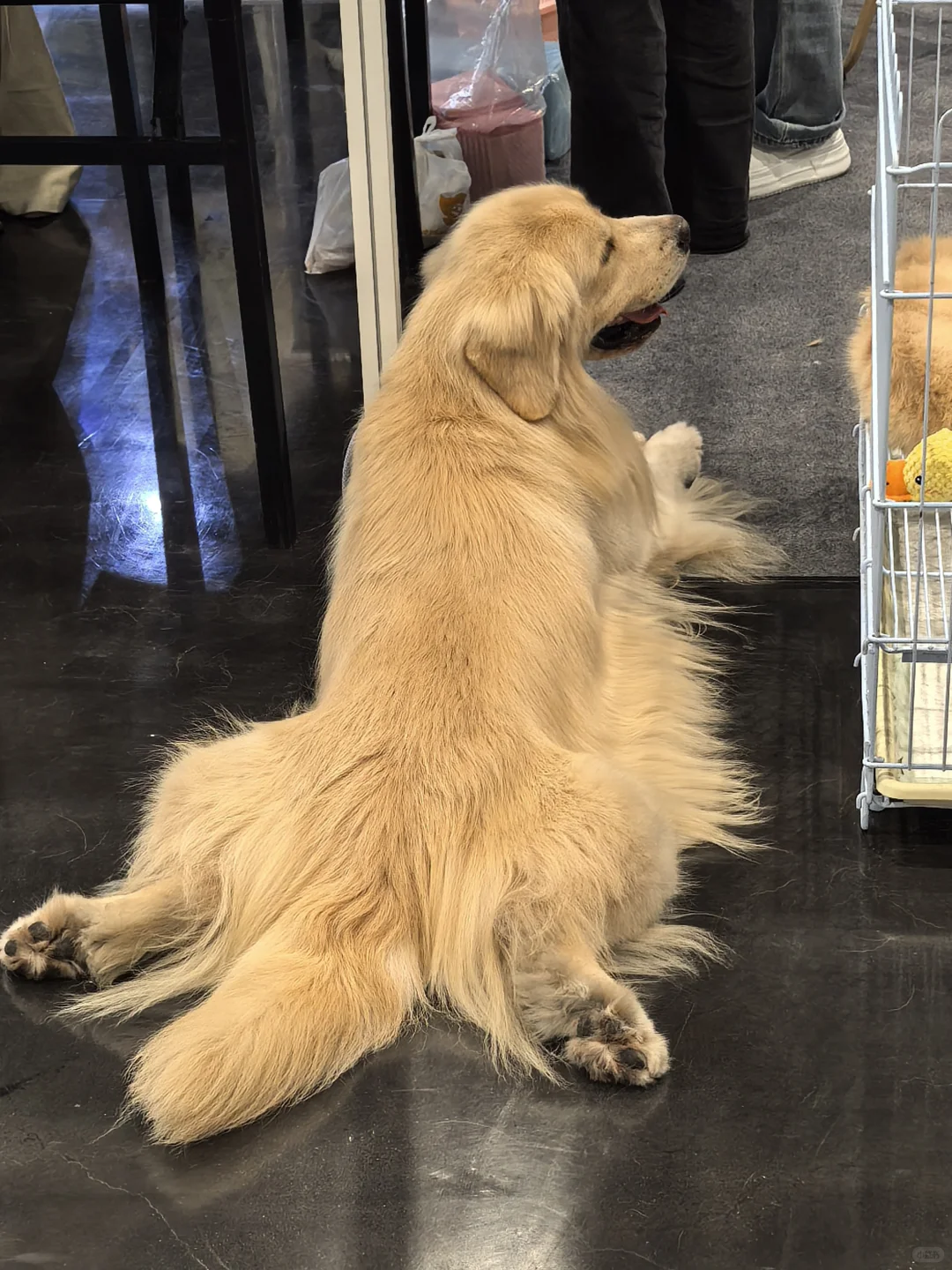 杭州会展的游客路线规划很吐槽