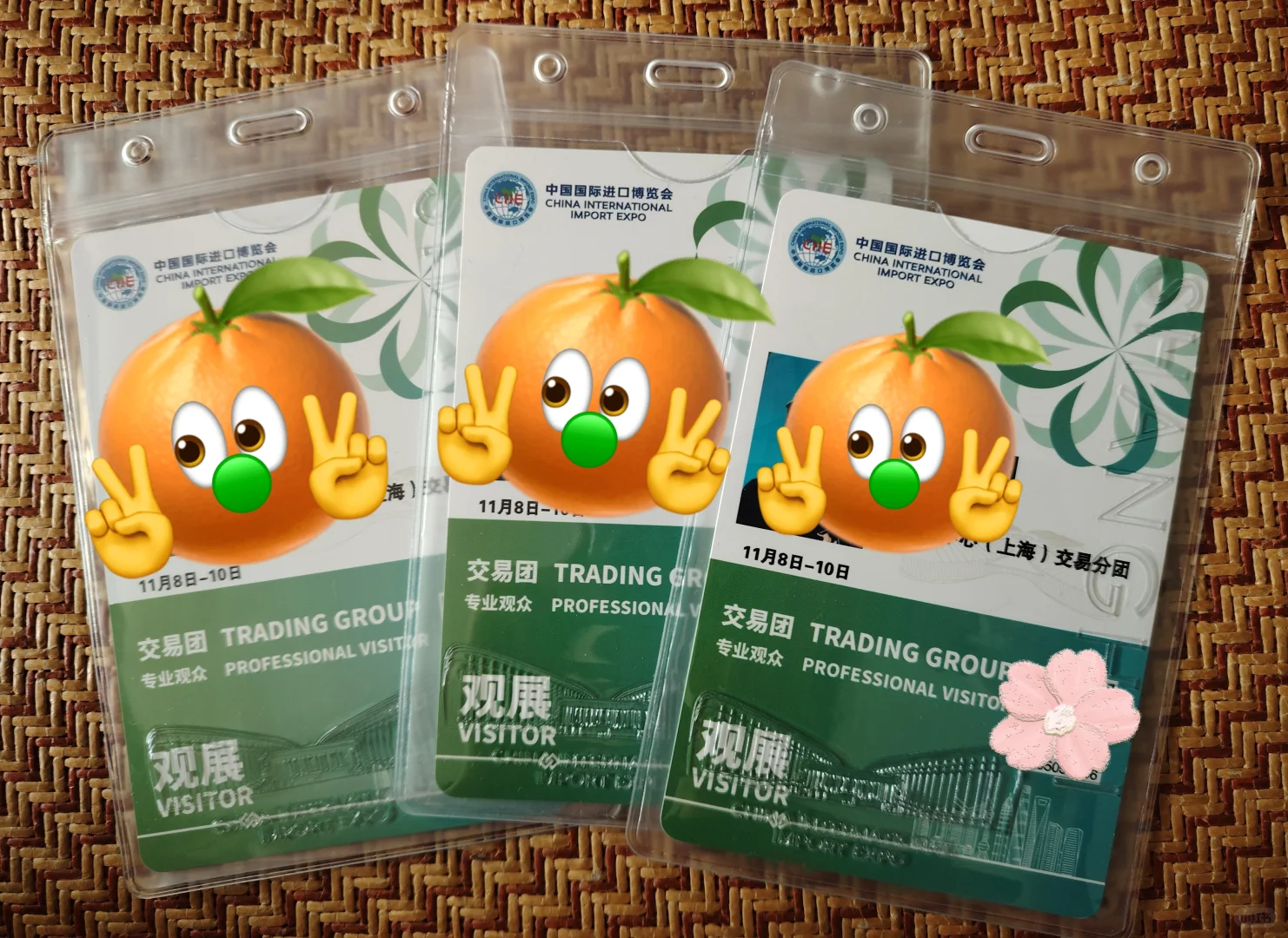 2025进博会观众证(最新:证到了)