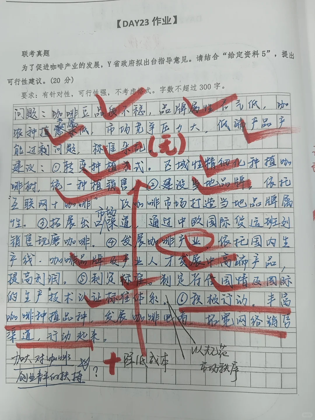 DAY23 白鹭申论咖啡产业可行性建议