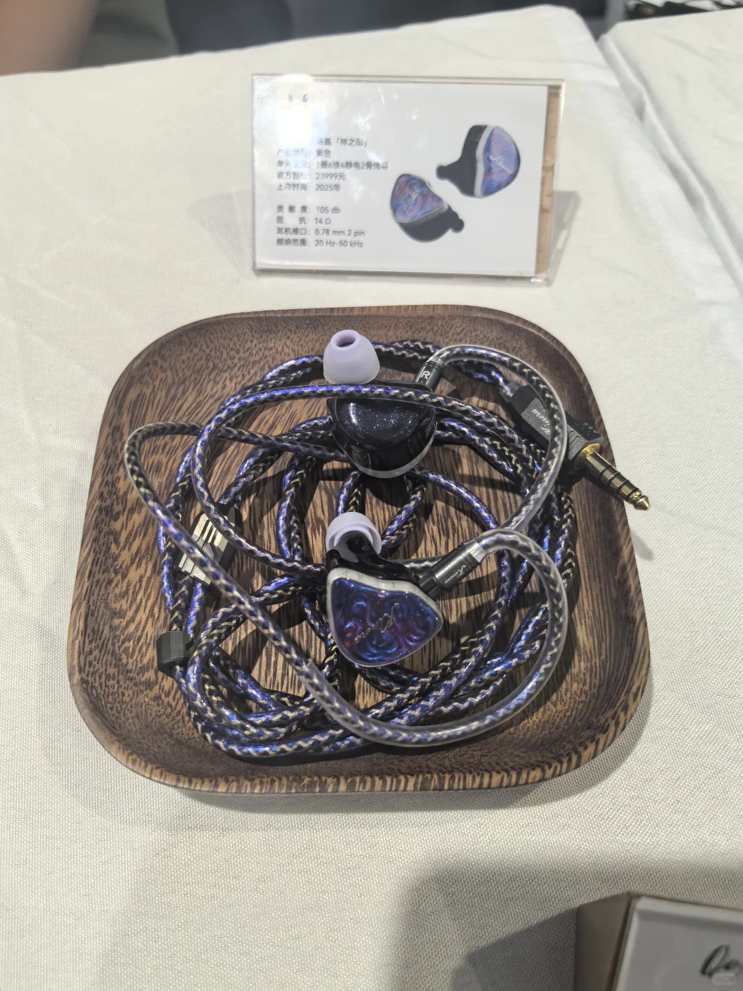 中国国际电子消费博览会—青岛红岛站