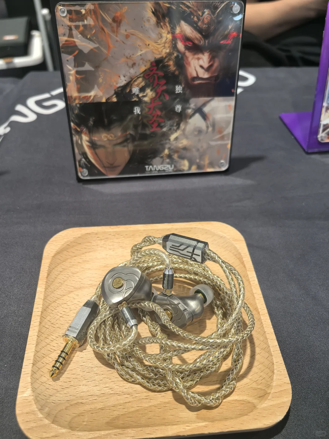 中国国际电子消费博览会—青岛红岛站