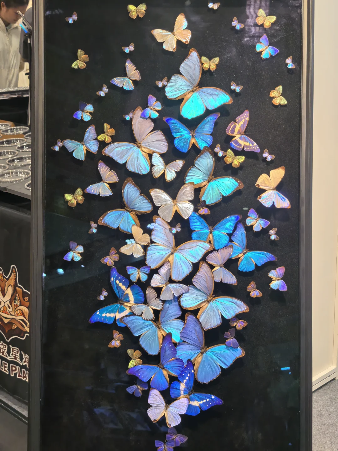 杭州会展的游客路线规划很吐槽