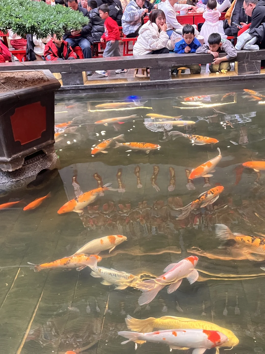 国庆带妹冲儿童乐园:美团团购囤券5折起香哭