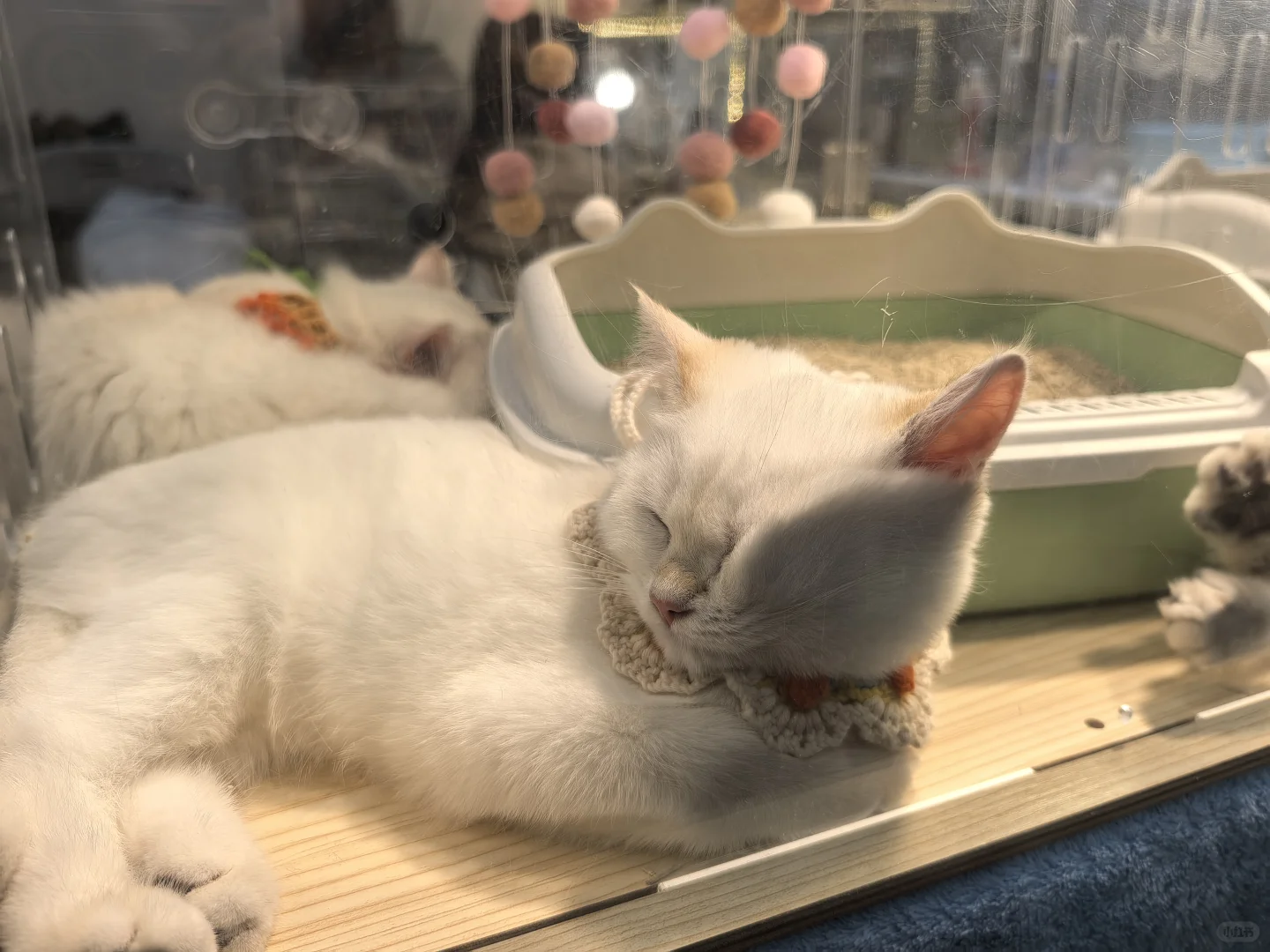 杭州会展的游客路线规划很吐槽