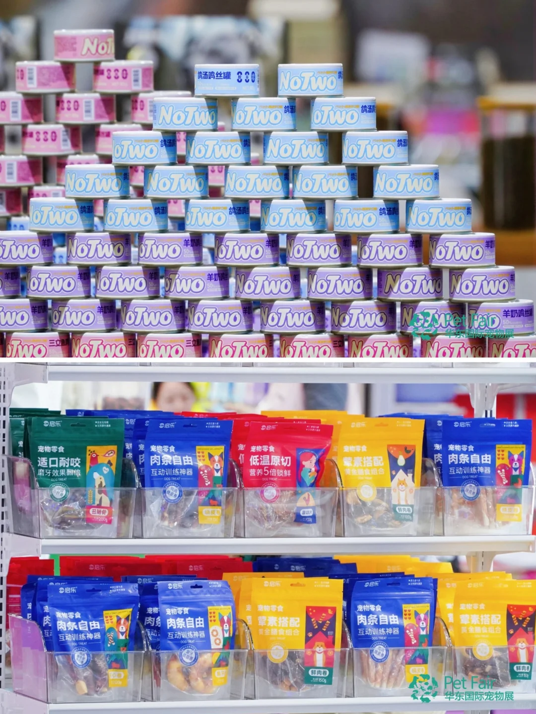 第6届华东宠物展，宠物狂欢等你来！ ?