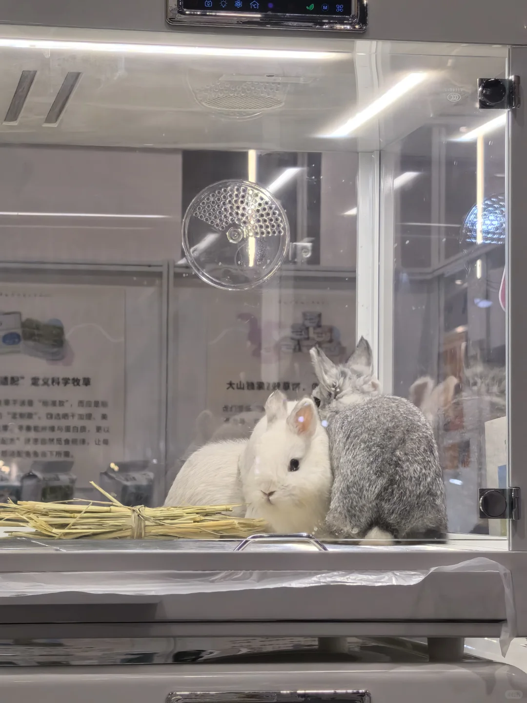 杭州会展的游客路线规划很吐槽