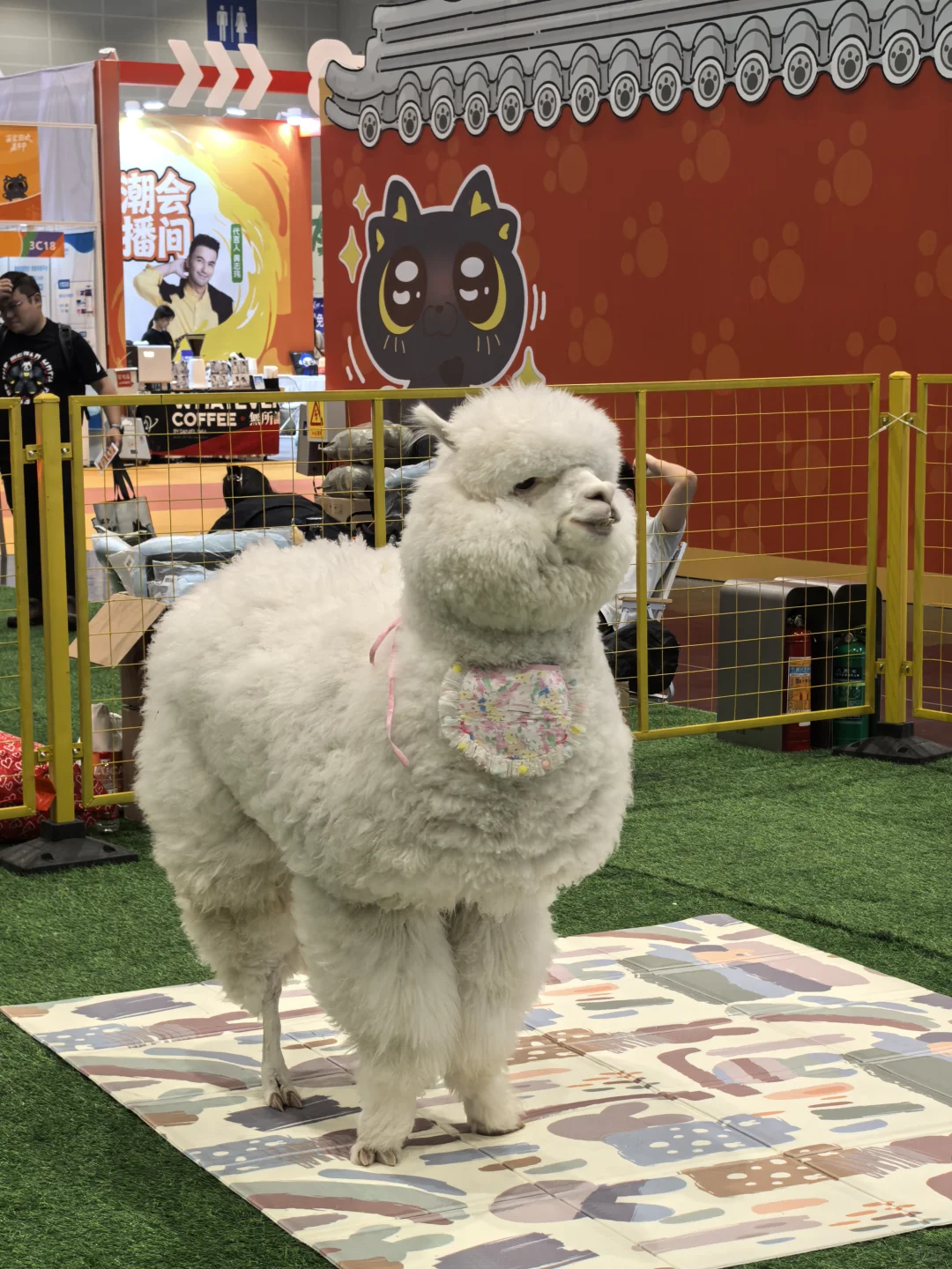 杭州会展的游客路线规划很吐槽