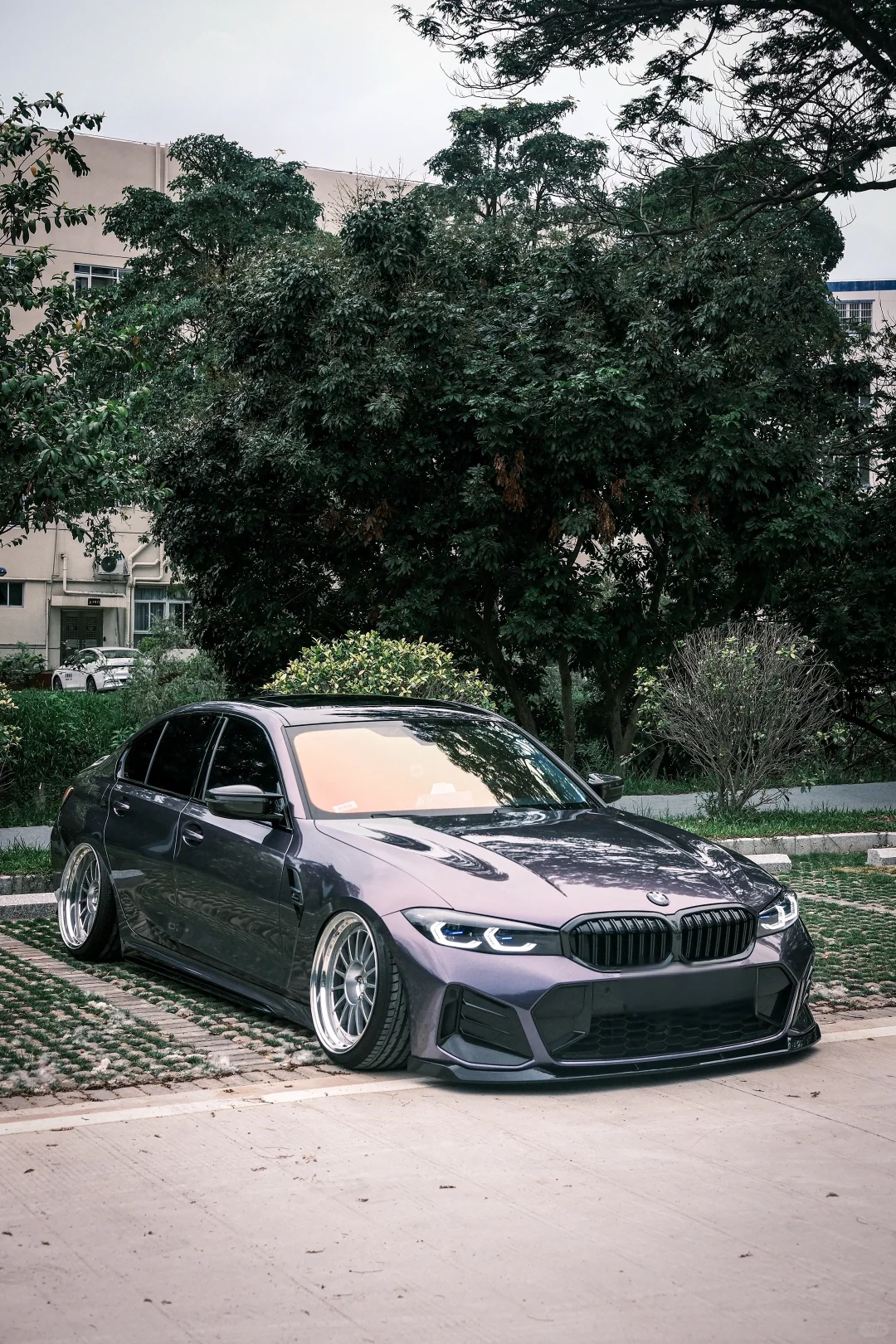 星车大道国际品牌区，全球好货聚集地！