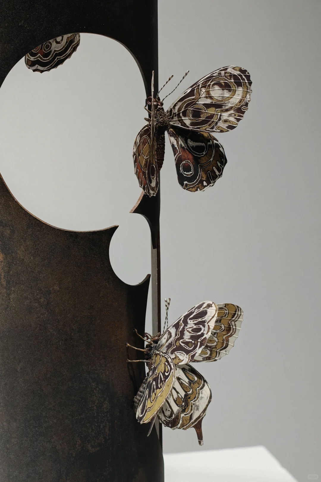 永康会展中心｜山花烂漫时