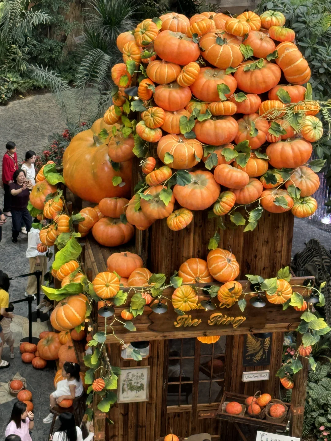 重庆！新开的！南瓜展！！5G万圣节氛围感✨?