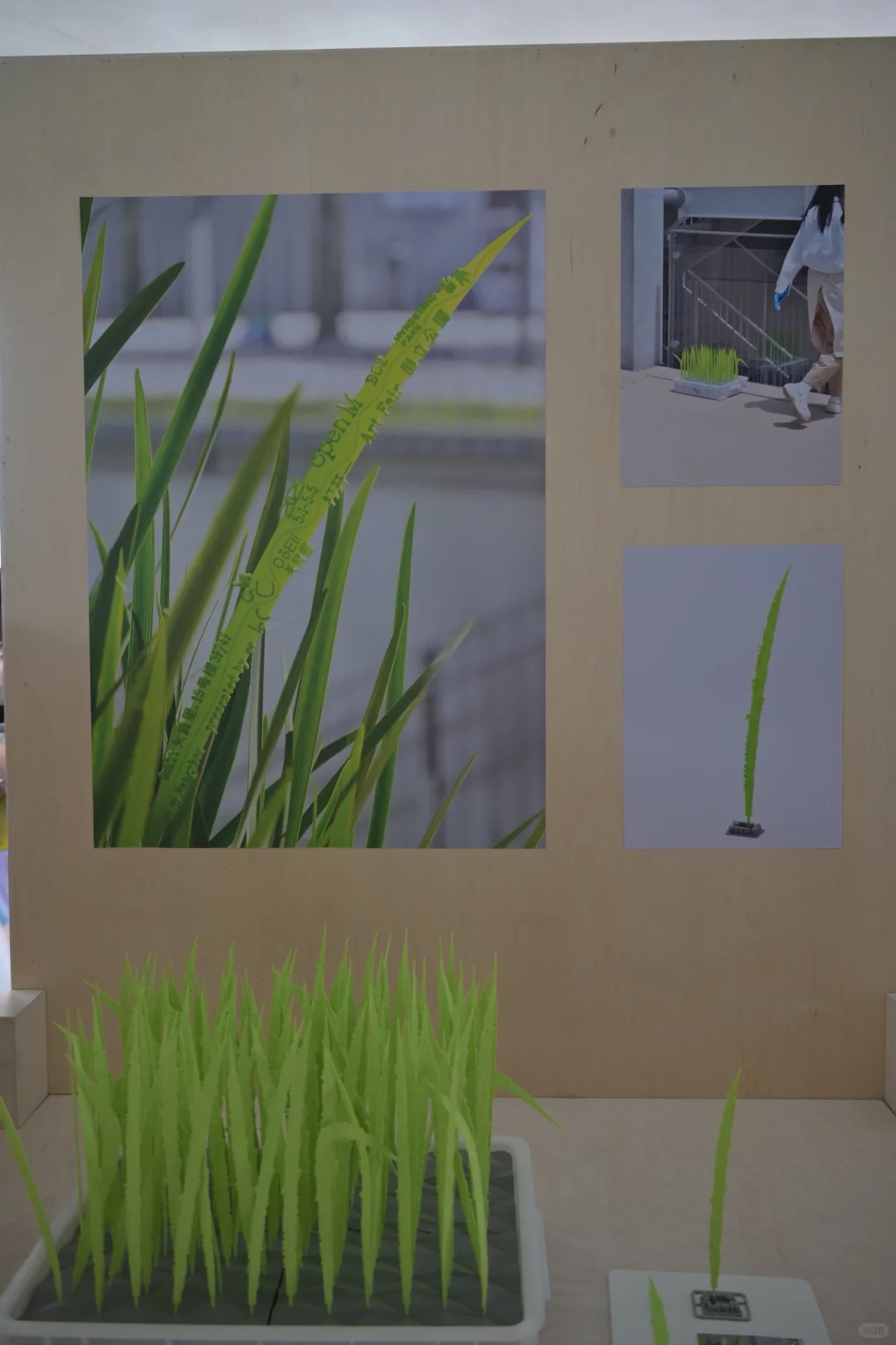 “小红书设计周”展览到底值得看吗?