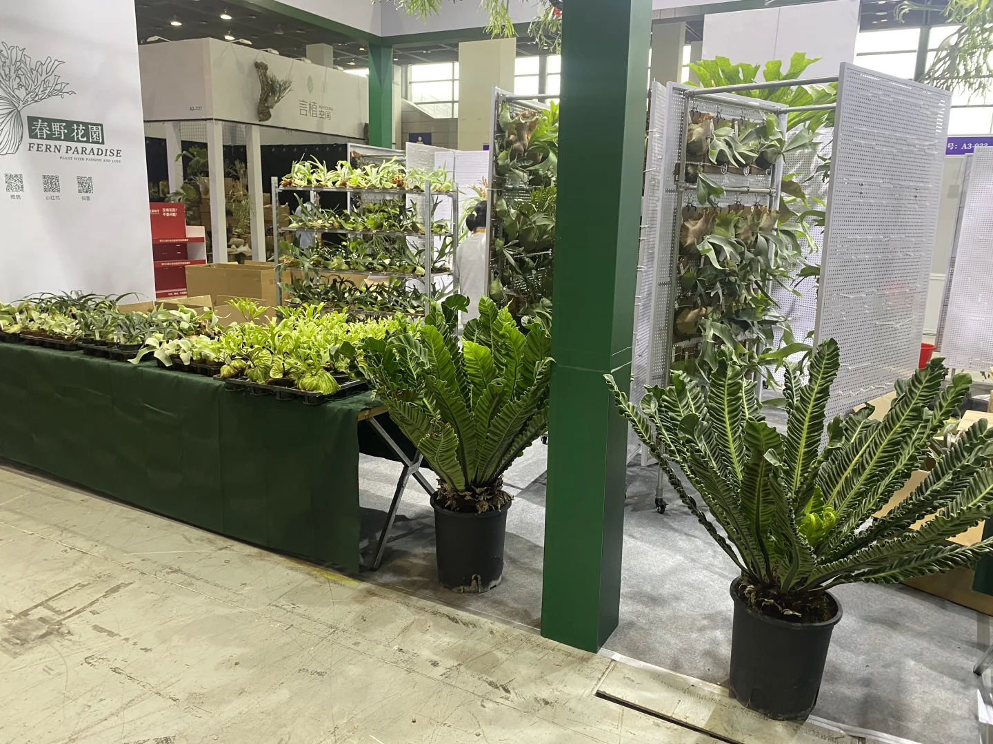 无锡热植展 一边拆箱一边买买买了